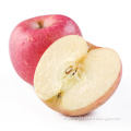 high quality fuji apples fuji price chinese fuji